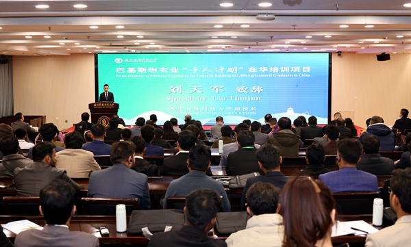 aabc4df7498f4bc5ad888a9e17f33e97.jpg